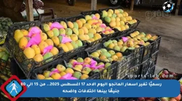 رسميًا تغير أسعار المانجو اليوم الأحد 17 أغسطس 2025.. من 15 إلى 80 جنيهًا بينها اختلافات واضحة